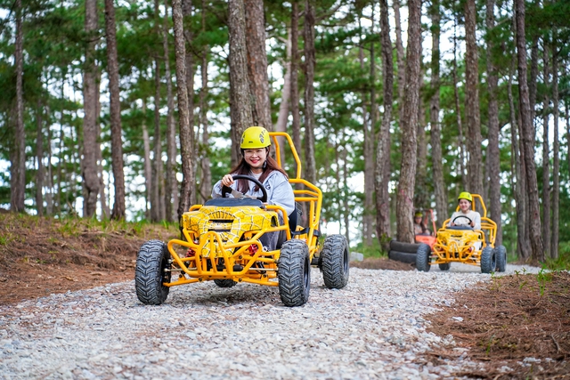 Dalattourist: &lsquo;Hạt nh&acirc;n&rsquo; h&uacute;t kh&aacute;ch du lịch L&acirc;m Đồng trong năm 2026 - Ảnh 2.