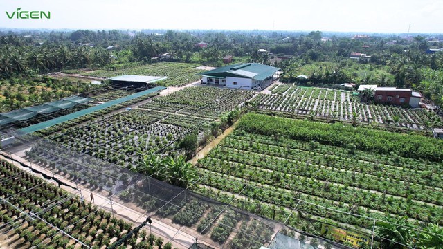 ViGen sẵn s&agrave;ng vươn m&igrave;nh ra biển lớn, đưa giống c&acirc;y trồng Việt cạnh tranh quốc tế - Ảnh 1.