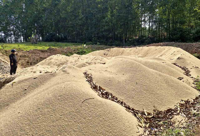 C&aacute;t s&ocirc;ng Thu Bồn bị 'r&uacute;t ruột' giữa đ&ecirc;m- Ảnh 3.