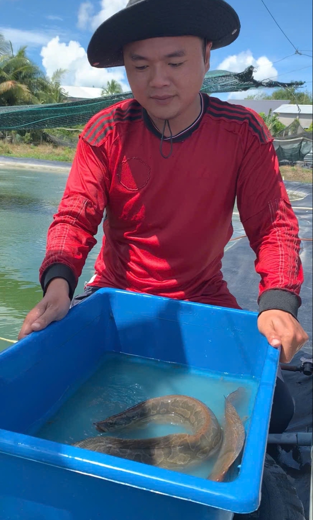 - Ảnh 1. - Ảnh 1.