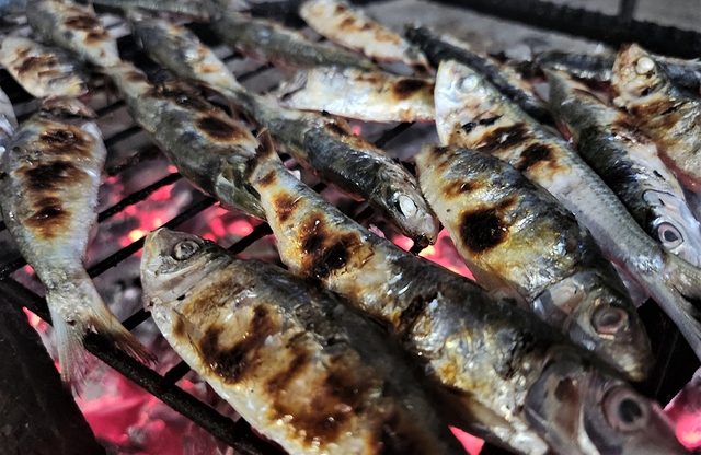 M&ugrave;a lộc biển: Săn 'bạc xanh' tr&ecirc;n s&oacute;ng biển- Ảnh 7.