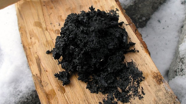 Người Neanderthal biết chế tạo dược phẩm từ 200.000 năm trước? - Ảnh 1.