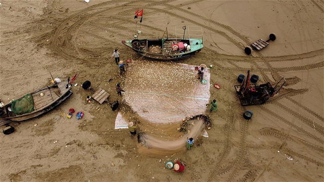 M&ugrave;a lộc biển: Săn 'bạc xanh' tr&ecirc;n s&oacute;ng biển- Ảnh 4.