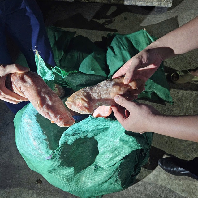 - Ảnh 1. - Ảnh 1.