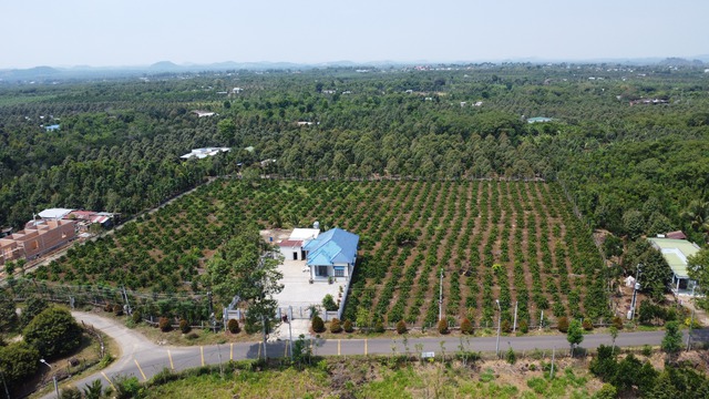 Th&agrave;nh lập 10 phường mới ở Đồng Nai: T&acirc;n Ph&uacute; đ&ocirc; thị động lực ph&iacute;a Đ&ocirc;ng - Ảnh 17.