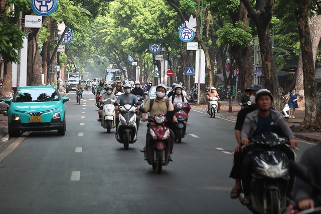 Bao giờ TP.HCM siết xe xăng dầu v&agrave;o nội đ&ocirc;?- Ảnh 1.