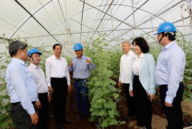  Xu&acirc;n Lộc lấy hạ tầng &ndash; dịch vụ - du lịch l&agrave; trụ cột ph&aacute;t triển - Ảnh 6.