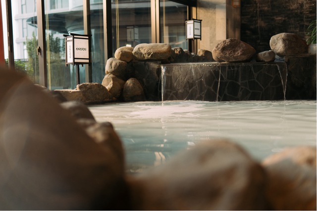 Kh&aacute;m ph&aacute; Forest Onsen: Sản phẩm onsen trị liệu mỗi ng&agrave;y từ nh&agrave; s&aacute;ng lập Ecopark - Ảnh 6.