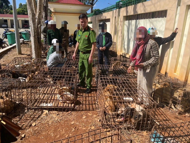 Khởi tố 2 đối tượng trộm chó, tập kết 70 con trong lồng sắt tại Đắk Lắk- Ảnh 1. Khởi tố 2 đối tượng trộm chó, tập kết 70 con trong lồng sắt tại Đắk Lắk- Ảnh 1.