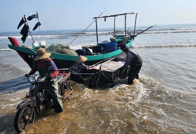 M&ugrave;a lộc biển: Những khoang thuyền chở 'v&agrave;ng trắng' về bờ - Ảnh 2.