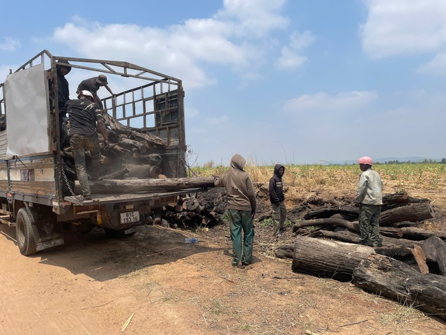 - Ảnh 1. - Ảnh 1.