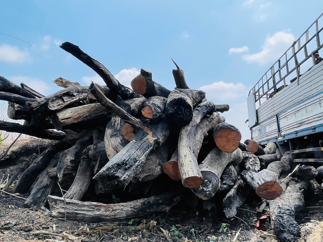 - Ảnh 2. - Ảnh 2.