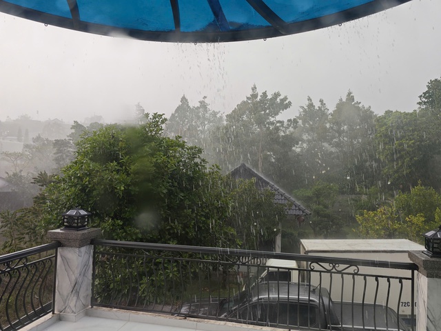 'Mưa v&agrave;ng' giải nhiệt ở một số khu vực - Ảnh 2.