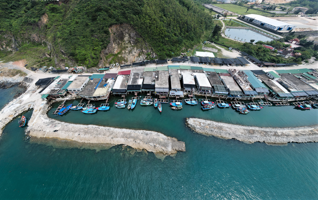 Mùa lộc biển: Theo chân ngư dân săn 'vàng đen'- Ảnh 3. Mùa lộc biển: Theo chân ngư dân săn 'vàng đen'- Ảnh 3.