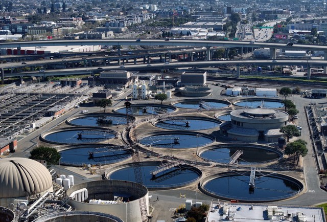 - Ảnh 1. - Ảnh 1.