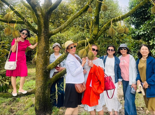 Bỏ l&uacute;a k&eacute;m hiệu quả trồng sầu ri&ecirc;ng l&agrave;m du lịch, n&ocirc;ng d&acirc;n miền T&acirc;y 'thắng đậm' - Ảnh 1.