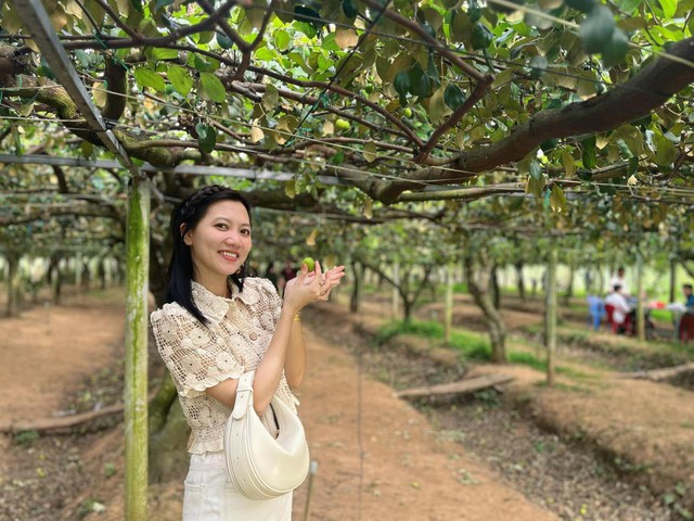 Bỏ l&uacute;a k&eacute;m hiệu quả trồng sầu ri&ecirc;ng l&agrave;m du lịch, n&ocirc;ng d&acirc;n miền T&acirc;y 'thắng đậm' - Ảnh 4.