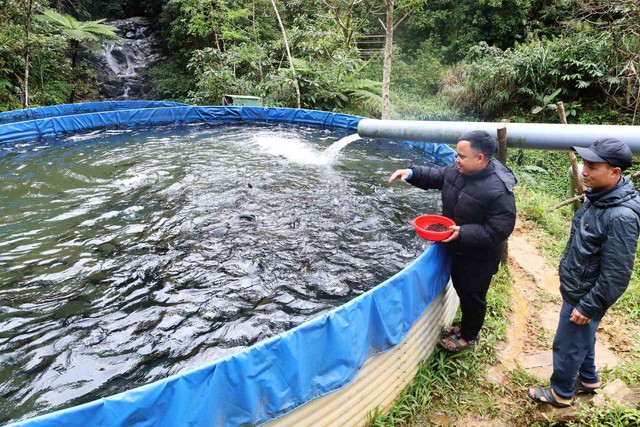 Nu&ocirc;i c&aacute; xứ lạnh giữa đại ng&agrave;n - Ảnh 1.