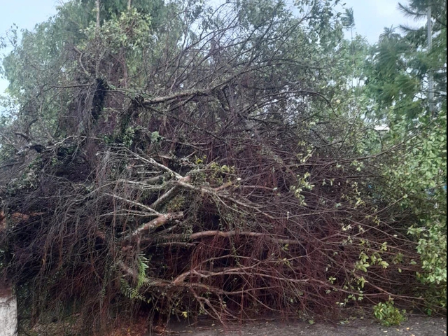 Lốc xoáy tại Bảo Lộc gây tốc mái nhà nhiều nhà dân- Ảnh 2. Lốc xoáy tại Bảo Lộc gây tốc mái nhà nhiều nhà dân- Ảnh 2.