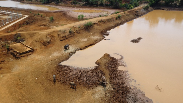 Đồng Nai hủy thầu g&oacute;i thầu cải tạo suối chống hạn ở Lộc Ninh - Ảnh 1.