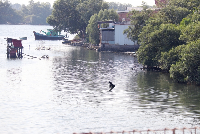 Cầu Văn Th&aacute;nh bắc qua s&ocirc;ng C&agrave; Ty: V&igrave; sao phải x&acirc;y từ giữa s&ocirc;ng?- Ảnh 8.