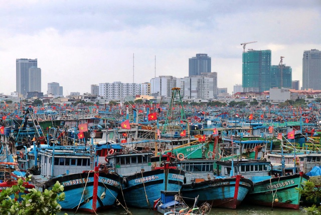 Đ&agrave; Nẵng t&iacute;nh di dời cảng c&aacute; Thọ Quang, mở đường h&igrave;nh th&agrave;nh cảng du lịch- Ảnh 1.