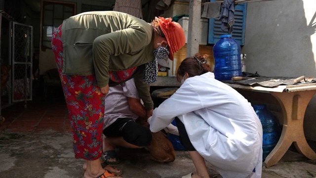 - Ảnh 1. Bị chó cắn từ nhiều tháng trước, người đàn ông tử vong nghi do bệnh dại - Ảnh 1.