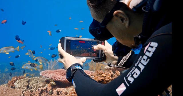 Galaxy S24 và S25 Ultra vừa có thêm chế độ chụp ảnh dưới đáy biển - Ảnh 1. Galaxy S24 và S25 Ultra vừa có thêm chế độ chụp ảnh dưới đáy biển - Ảnh 1.