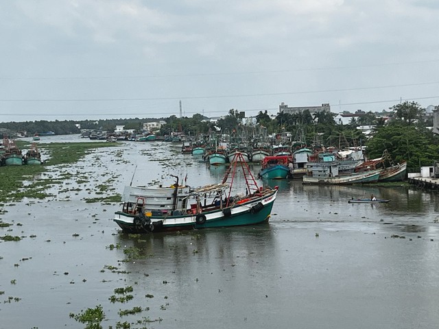 An Giang quyết liệt gỡ thẻ v&agrave;ng IUU , Khởi tố 55 vụ vi phạm khai th&aacute;c thủy sản - Ảnh 1.