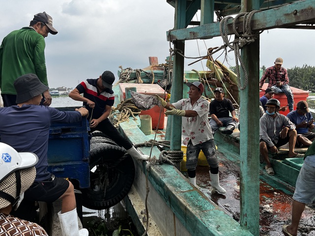 An Giang quyết liệt gỡ thẻ v&agrave;ng IUU , Khởi tố 55 vụ vi phạm khai th&aacute;c thủy sản - Ảnh 3.