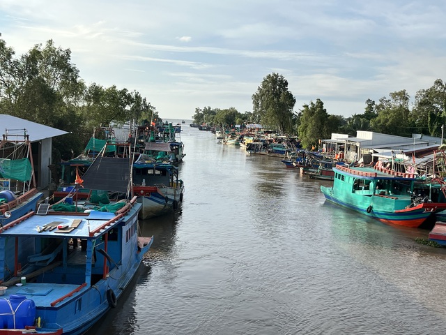 An Giang quyết liệt gỡ thẻ v&agrave;ng IUU , Khởi tố 55 vụ vi phạm khai th&aacute;c thủy sản - Ảnh 4.