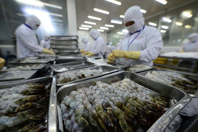 Thủy sản xuất khẩu gặp khó- Ảnh 2. Thủy sản xuất khẩu gặp khó- Ảnh 2.