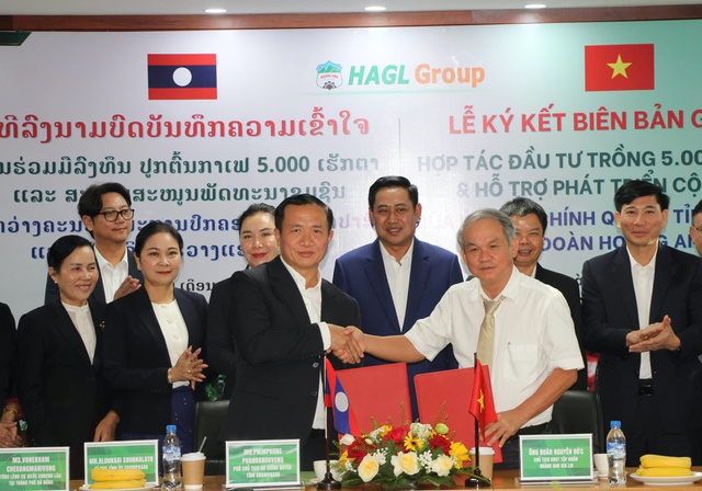 HAGL bắt tay tỉnh Champasak phát triển 5.000 ha cà phê- Ảnh 1. HAGL bắt tay tỉnh Champasak phát triển 5.000 ha cà phê- Ảnh 1.
