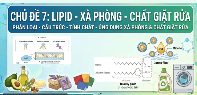 B&iacute; quyết &ocirc;n thi tốt nghiệp THPT đạt điểm cao: Li&ecirc;n hệ thực tiễn chất tẩy rửa - Ảnh 1.