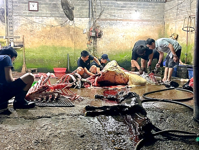 Tin tức đặc biệt tr&ecirc;n b&aacute;o in Thanh Ni&ecirc;n 12.5.2026- Ảnh 2.