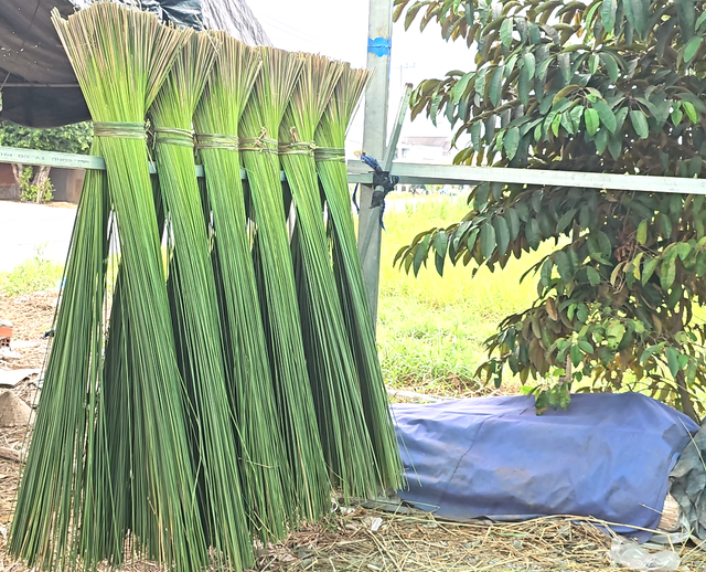 Cỏ b&agrave;ng Đức Lập: Từ sợi cỏ ph&egrave;n đến t&uacute;i x&aacute;ch 'thời thượng' - Ảnh 2.