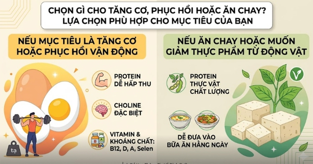 Đậu hũ hay trứng: Loại n&agrave;o cung cấp protein tốt hơn? - Ảnh 2.