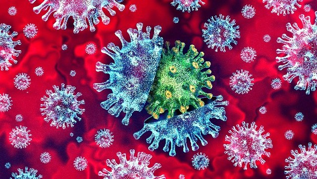 Vaccine cúm mùa 2026 và sự biến đổi của virus cúm: Những thông tin cần biết - Ảnh 1.