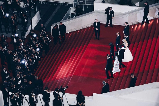 Cannes 2026 thiếu vắng loạt phim 'bom tấn' Hollywood, chuyện g&igrave; đang xảy ra? - Ảnh 1.