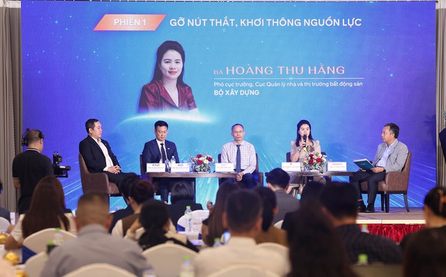 Dư nh&agrave; cao cấp, thiếu trầm trọng nh&agrave; b&igrave;nh d&acirc;n- Ảnh 2.