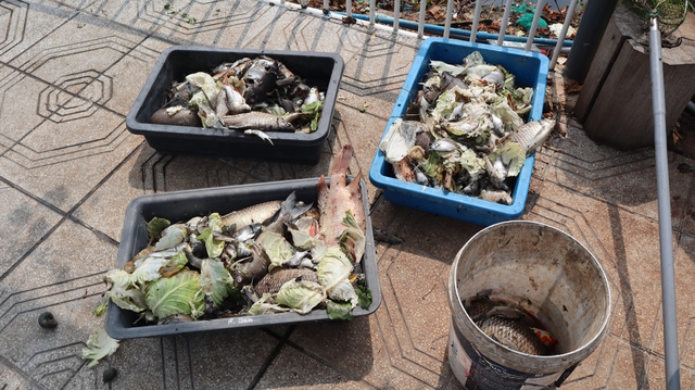 Đồng Nai: T&igrave;m nguy&ecirc;n nh&acirc;n t&igrave;nh trạng c&aacute; chết tr&ecirc;n l&ograve;ng hồ thủy lợi Phước H&ograve;a - Ảnh 2.