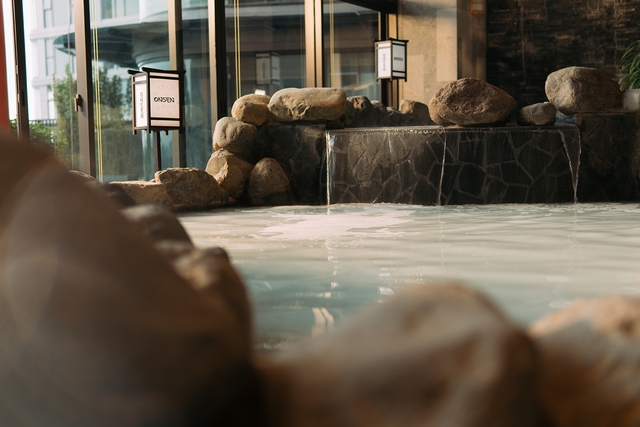 Khám phá các dòng khoáng tại tổ hợp onsen trị liệu Forest Onsen của Ecopark - Ảnh 5.
