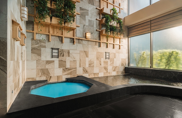 Khám phá các dòng khoáng tại tổ hợp onsen trị liệu Forest Onsen của Ecopark - Ảnh 6.