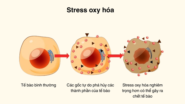 Kiểm so&aacute;t m&ocirc;i trường vết thương: &lsquo;Ch&igrave;a kh&oacute;a v&agrave;ng&rsquo; kiến tạo kết quả thẩm mỹ tối ưu - Ảnh 2.