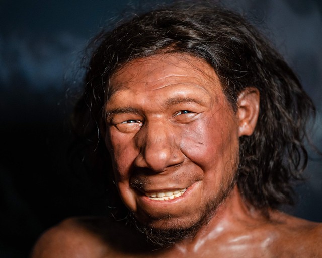 59.000 năm trước, người Neanderthal đã biết trị sâu răng?- Ảnh 2. 59.000 năm trước, người Neanderthal đã biết trị sâu răng?- Ảnh 2.