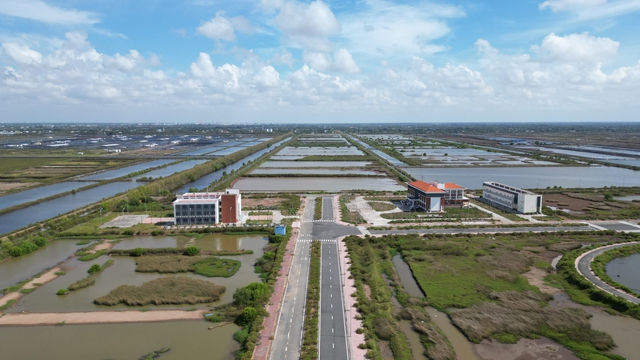 Khu tôm công nghệ cao 338 tỉ, báo cáo gì với Bí thư Tỉnh ủy Cà Mau - Ảnh 1.