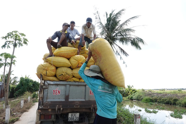 Mỹ dự báo Philippines nhập khẩu gạo kỷ lục tới 5,5 triệu tấn- Ảnh 1.
