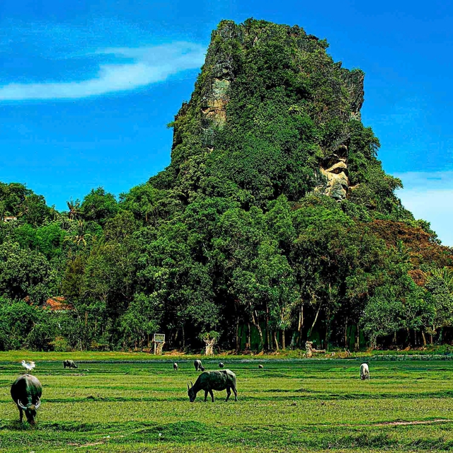 Du sơn ngoạn thủy:  'Miền An H&agrave; l&agrave; đẹp hơn cả' - Ảnh 2.