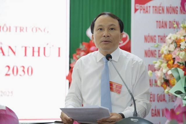 Huế kỷ luật cán bộ buông lỏng quản lý, để cấp dưới làm giả hồ sơ- Ảnh 1.