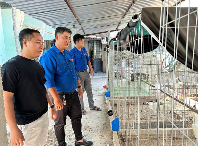 Ch&agrave;ng trai m&aacute;t tay l&agrave;m 'b&agrave; mụ' cho cua đinh, b&aacute;n gần 500 con giống mỗi năm - Ảnh 3.